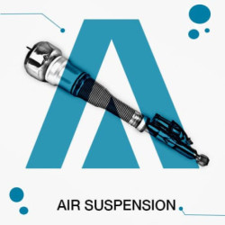 Air Suspension for BPW/SCANIA/SCHMITZ - 0542943210